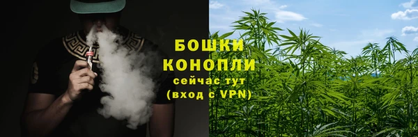 сатива Нея
