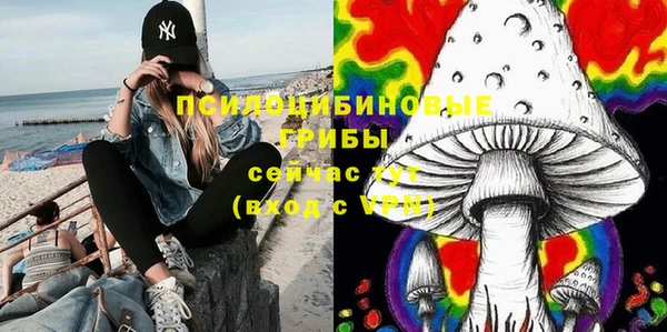 ALPHA PVP Нефтекумск