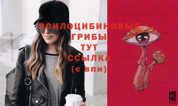 ешки Нефтегорск