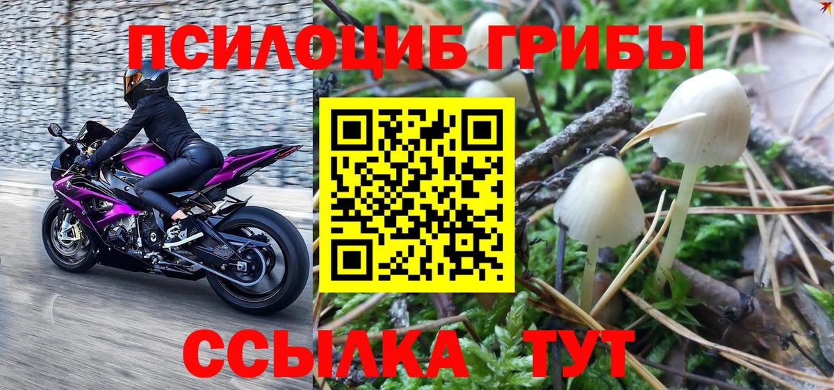 Тула  Псилоцибиновые грибы мицелий  Вход с VPN  Галлюциногенные грибы мицелий 